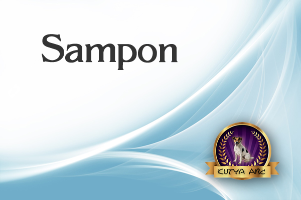 Samponok